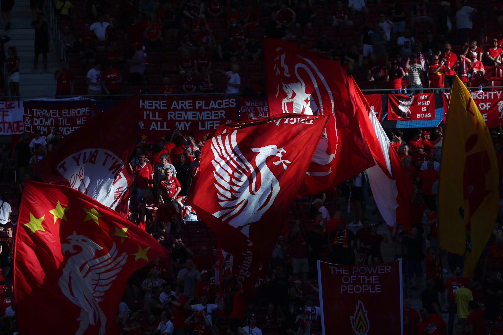 挪威黄金一代！哈兰德本届世预赛16球2助攻，厄德高1球7助攻（挪威双星爆发！哈兰德世预赛16球2助，厄德高1球7助）